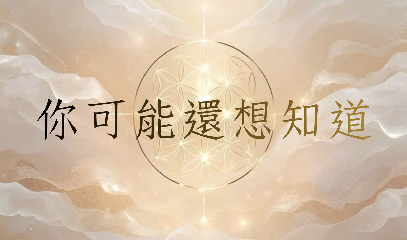 你可能還想知道